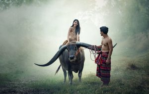 ミャンマー人セックス
