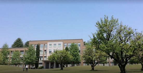 モテる大学