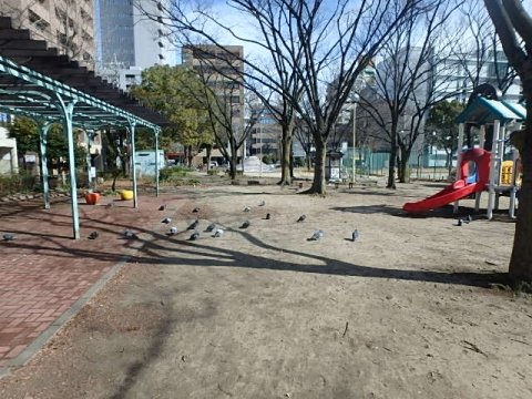 立ちんぼスポット6：栄　仲ノ町公園